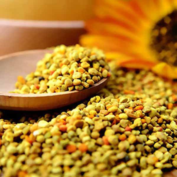 Propolis Nedir? Propolis Ne İşe Yarar? Nasıl Kullanılır? 2026 propolis Polen (Propolis)