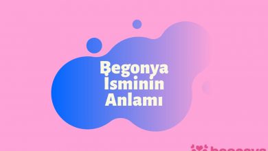 Begonya İsminin Anlamı ve Özellikleri