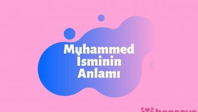 Muhammed İsminin Anlamı, Fazileti ve Özellikleri