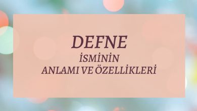 Defne İsminin Anlamı ve Özellikleri