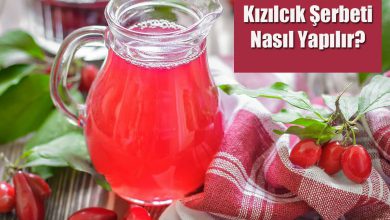 Kızılcık Şerbeti Nasıl Yapılır?