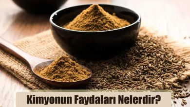 Kimyonun Faydaları Nelerdir? Nerelerde Kullanılır?