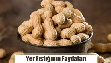 Yer Fıstığı Nedir? Yer Fıstığının Faydaları Nelerdir?