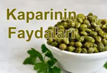 Kaparinin Faydaları