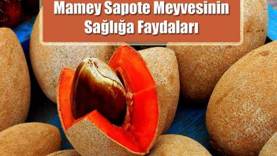 Mamey Sapote Nedir? Mamey Sapote Meyvesinin Sağlığa Faydaları Nelerdir?