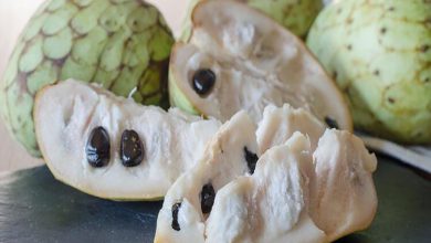 Soursop Meyvesi Nedir? Soursop Meyvesi Faydaları Nelerdir?