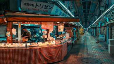 Japon Diyeti Nedir? Nasıl Yapılır? Aşamaları Avantajları Dezavantajları 2025 yüz temizliğinde yapılan hatalar