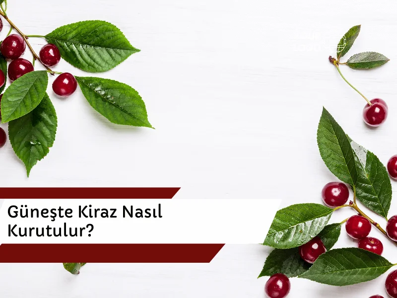 Güneşte Kiraz Nasıl Kurutulur?