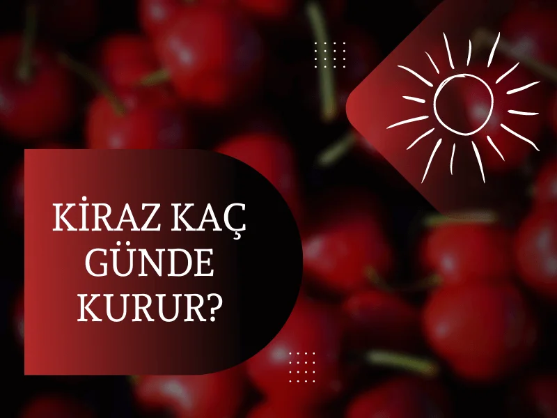 Kiraz Kaç Günde Kurur?