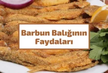 Barbun Balığının Faydaları Nelerdir?