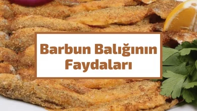 Barbun Balığının Faydaları Nelerdir?