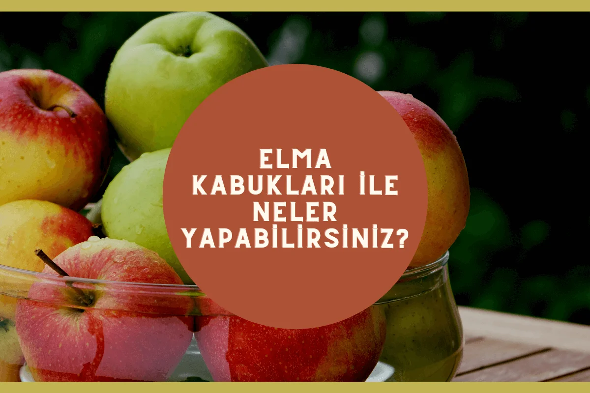 Elma Kabukları ile Neler Yapabilirsiniz?