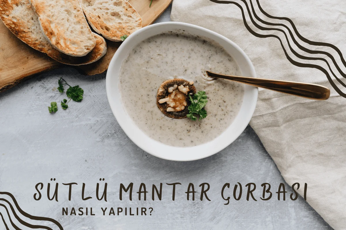 Sütlü Mantar Çorbası Nasıl Yapılır?