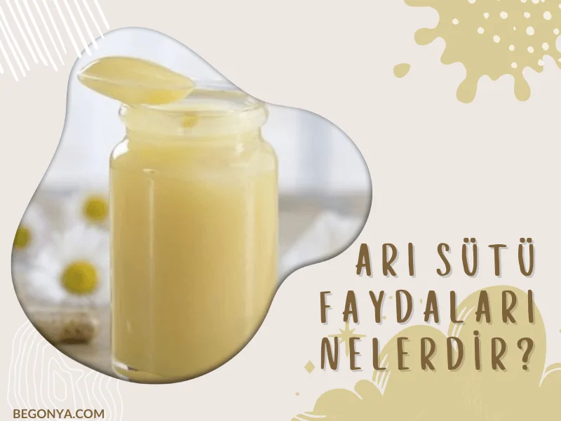 Arı Sütü Faydaları Nelerdir?