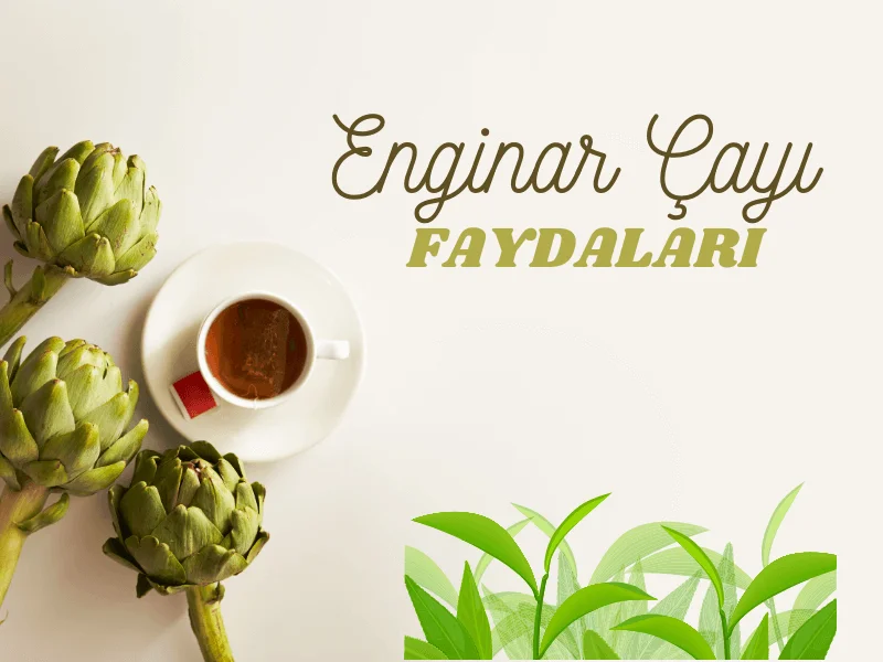 Enginar Çayının Faydaları Nelerdir?