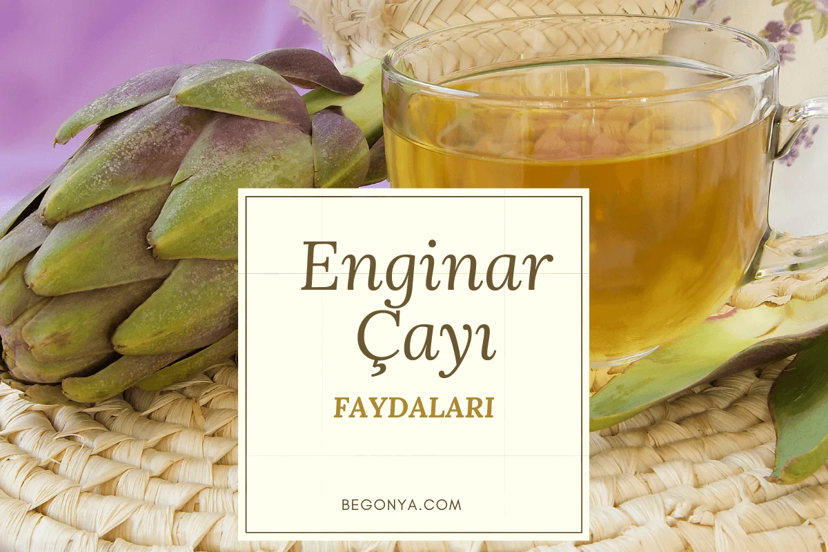 Enginar Çayının Faydaları