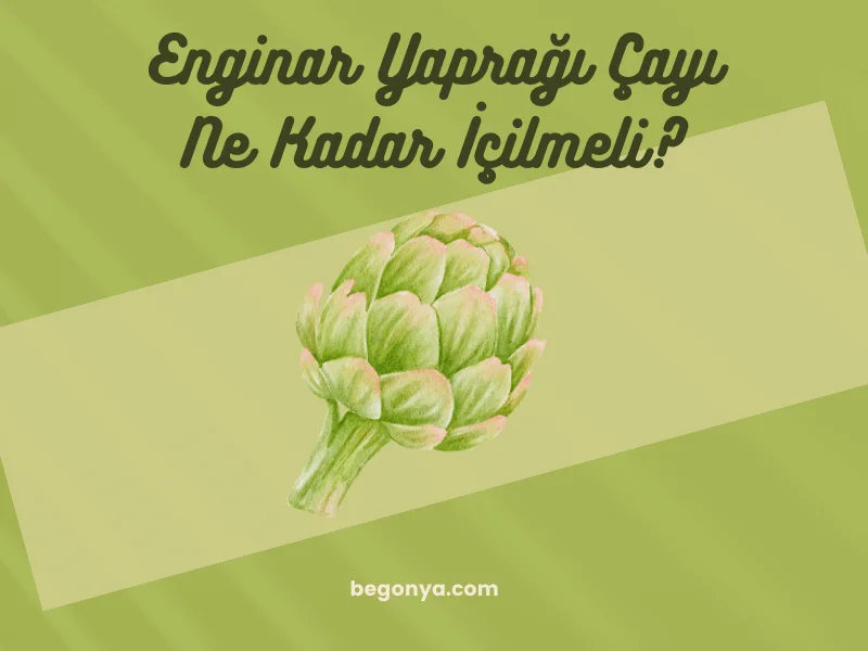 Enginar Yaprağı Çayı Ne Kadar İçilmeli?