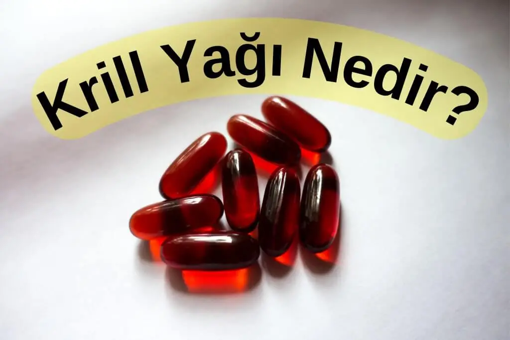 Krill Yağı Nedir?