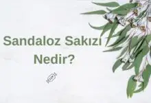 Sandaloz Sakızı