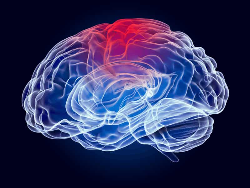 beyin iltihapi nedir ensefalit nedir 